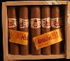 Hoyo de Monterey / Petit Robusto / Kiste (25 Stck)