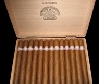 H. Upmann / Sir Winston / Kiste (25 Stck)