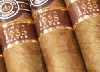 Montecristo / Maltes / Kiste (20 Stck)