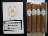 Griffins / Robusto / Einzelpreis