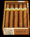 Cohiba / Siglo VI / Kiste (25 Stck)